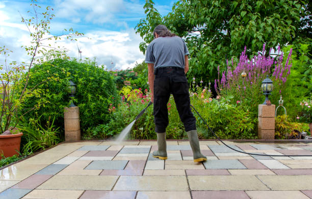 Best Fence Cleaning  in East Berwick, PA